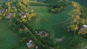 Geografis Desa Mareje Timur