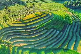 Sejara Desa Mareje Timur